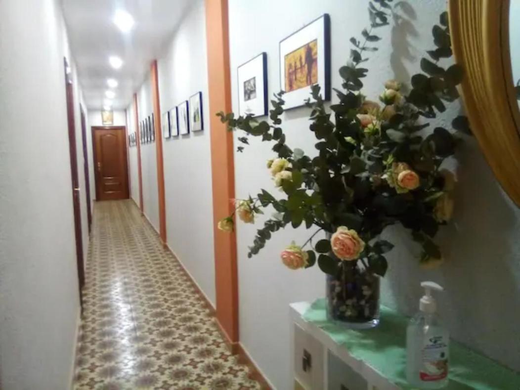 Las Golondrinas Zaragoza Habitacion Individual Eksteriør billede